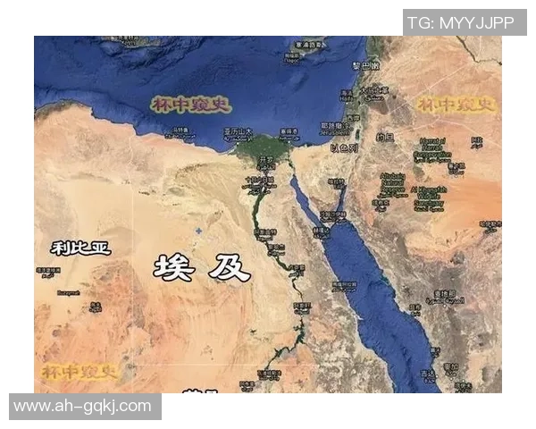 沙特与埃及经济文化发展对比分析及其影响因素探讨