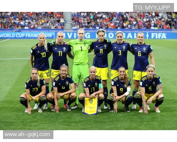 荷兰与瑞典足球实力对比分析哪支球队更具竞争优势